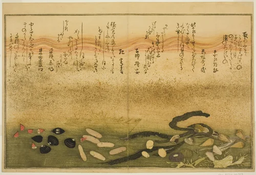 Minashi-gai, shio-gai, katatsu-gai, miso-gai, chijimi-gai, and chigusa-gai, from the illustrated book "Gifts from the Ebb Tide (Shiohi no tsuto)" by Kitagawa Utamaro (喜多川歌麿), print, 1789