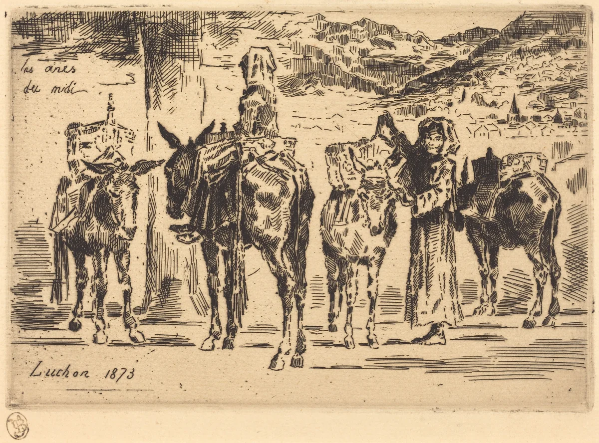 Feuilles d'Anes du Midi (Sheet of Donkeys from the South) by Félix-Hilaire Buhot, print, 1847-1898