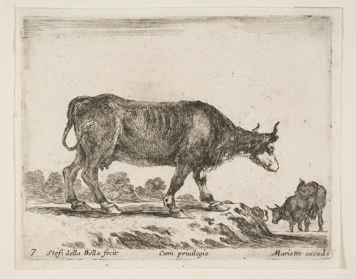 Ox, plate 7 from "Various Animals" (Diversi Animali) by Stefano della Bella, print, 1636-1646