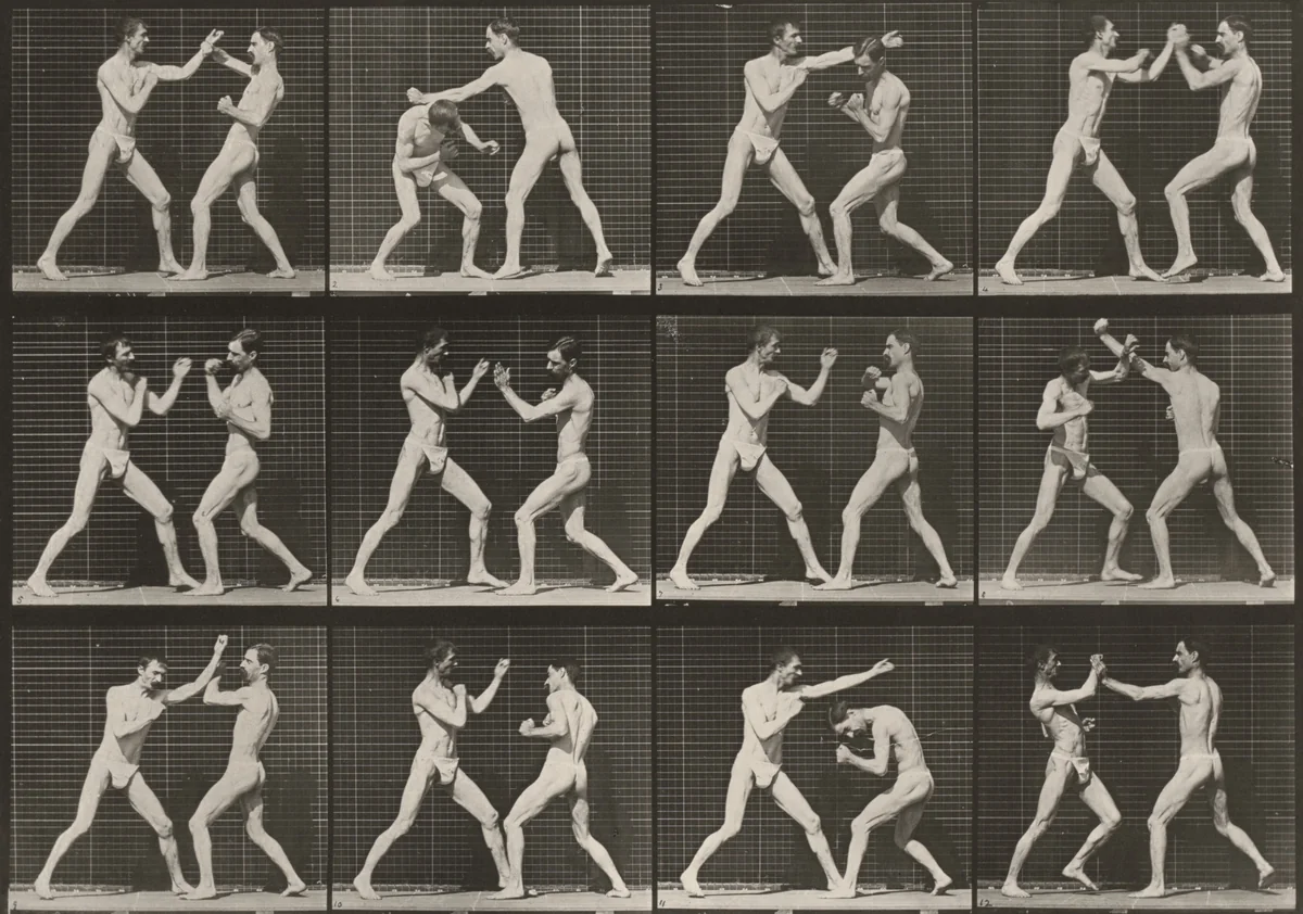 Plate Number 336. Boxing, open hand by Eadweard Muybridge, photograph, 1887