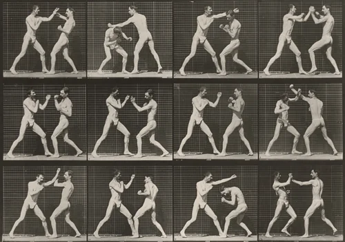 Plate Number 336. Boxing, open hand by Eadweard Muybridge, photograph, 1887