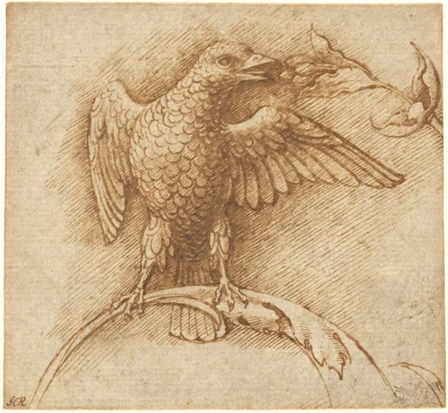 A Bird Perched on a Branch with Fruit by Andrea Mantegna, drawing, 1460