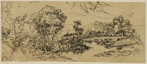 Landscape on the West Shore by Rodolphe Bresdin, drawing, 1842-1885