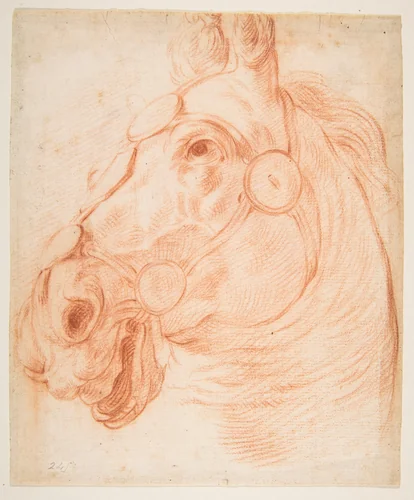 Study for a Horse's Head by Baldassarre Franceschini, drawing, 1645-1655