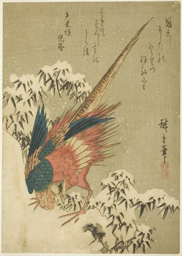 A Golden Pheasant amid Snow-Covered Bamboo on a Steep Hillside by Utagawa Hiroshige (歌川広重), print, 1835-1845