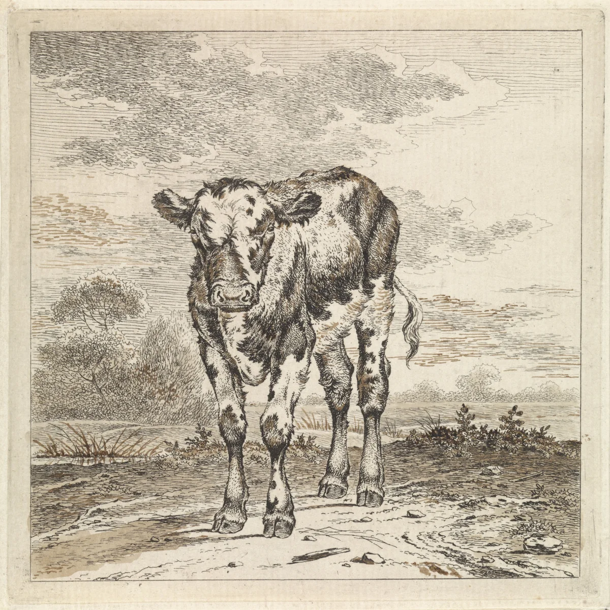 Landschap met kalf by Pieter Janson, print, 1780-1851