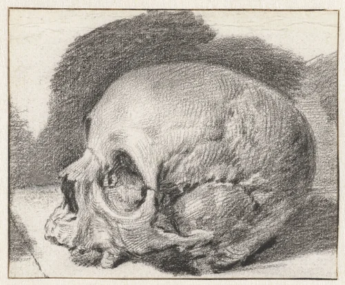 Study of a Skull, Facing Left by Cornelis Visscher, drawing, 1654-1658