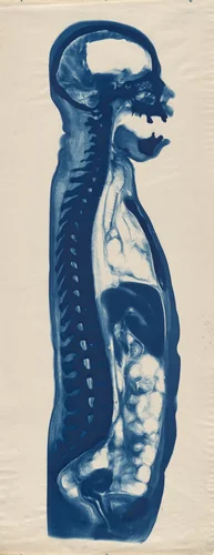 Untitled by Unidentified Photographer, photograph, 1910