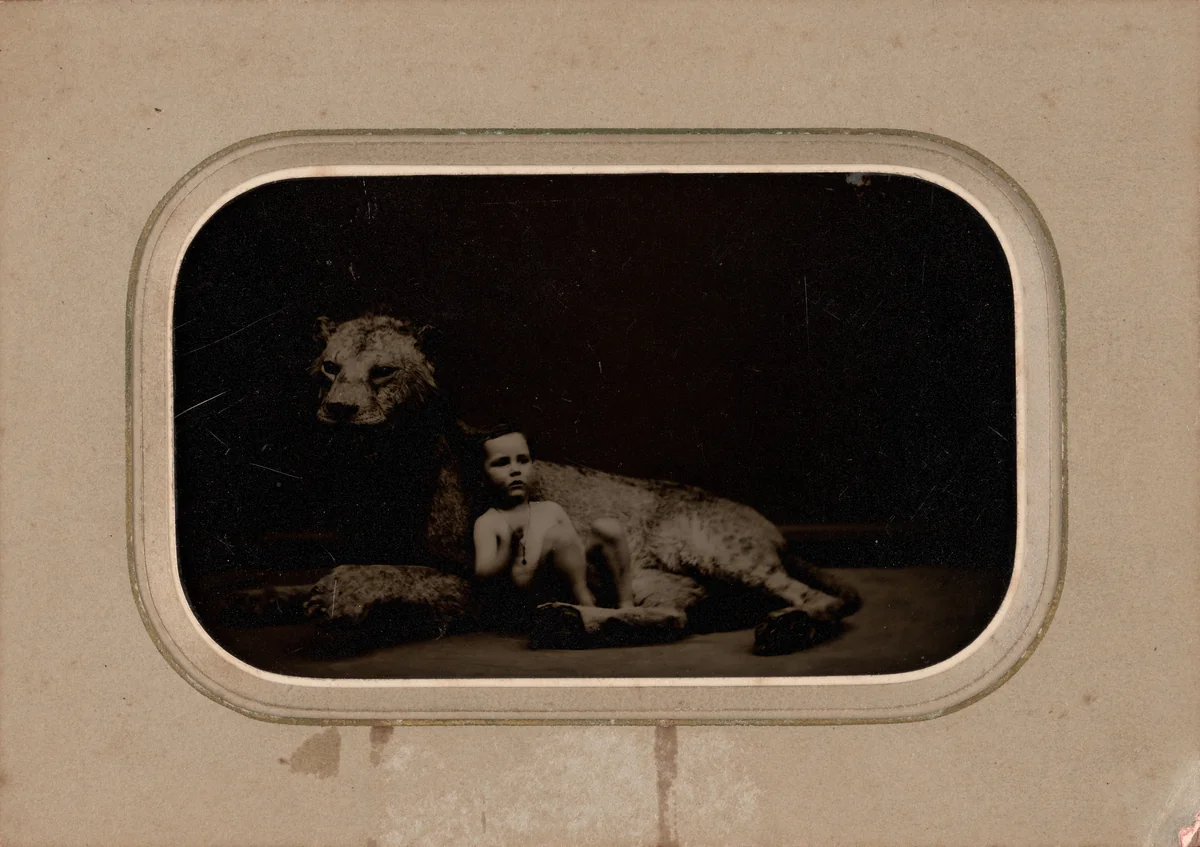 Portrait of a Child by French 19th Century, photograph, 1855-1865