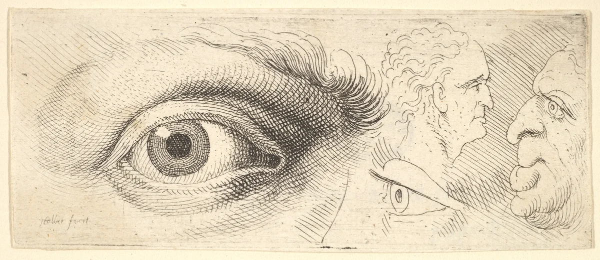 Two eyes and two heads by Wenceslaus Hollar, print, 1644-1652