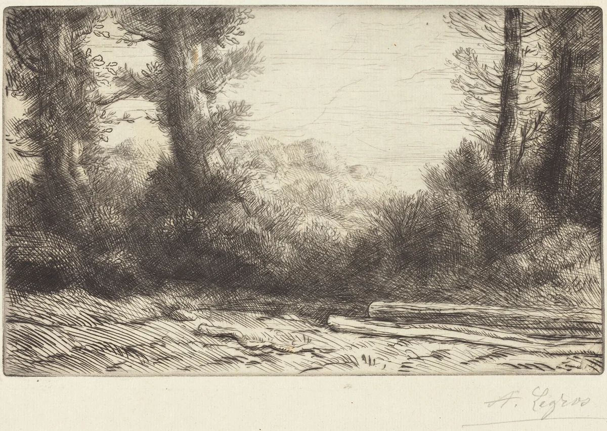 Edge of a Wood (Lisiere de bois) by Alphonse Legros, print, 1837-1911