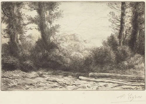 Edge of a Wood (Lisiere de bois) by Alphonse Legros, print, 1837-1911