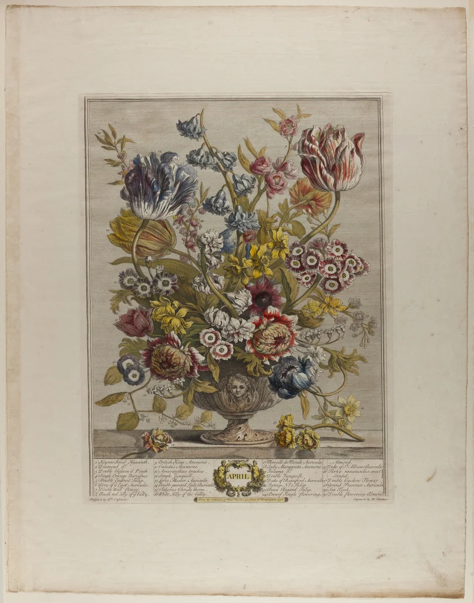 April, from Twelve Months of Flowers by Henry Fletcher
Peter Casteels III, print, 1730-1750