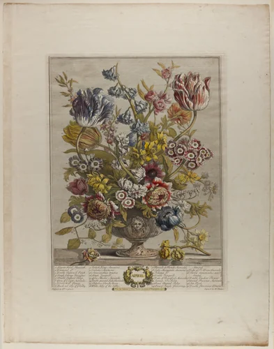 April, from Twelve Months of Flowers by Henry Fletcher
Peter Casteels III, print, 1730-1750