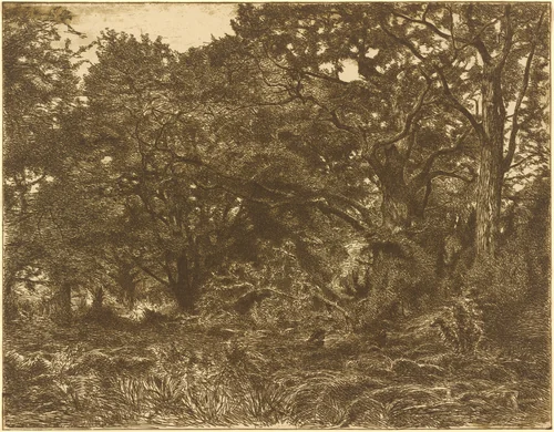 En Foret a Breau by Adolphe André Wacquez, print, 1860