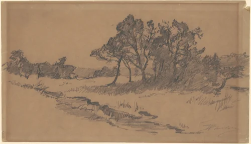 Trees in a Field by Walter Shirlaw, drawing, 1870-1900