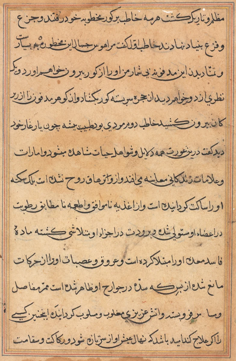 Page from Tales of a Parrot (Tuti-nama): text page by Unknown, painting, 1555-1565