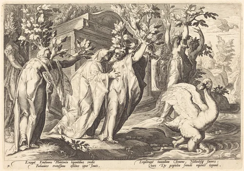 Phaeton's Sisters Changed into Poplars, Cygnus into a Swan by Robert de Baudous; Hendrick Goltzius, portfolio, 1590-1690