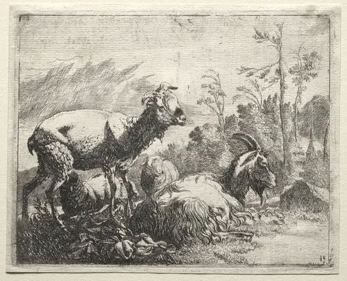 Goats by Johann Heinrich Roos, print, 1665
