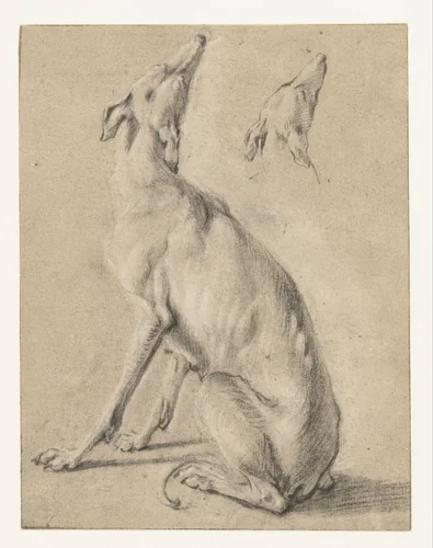 Een zittende hond en de kop van een hond by Frans Snijders, drawing, 1589-1657