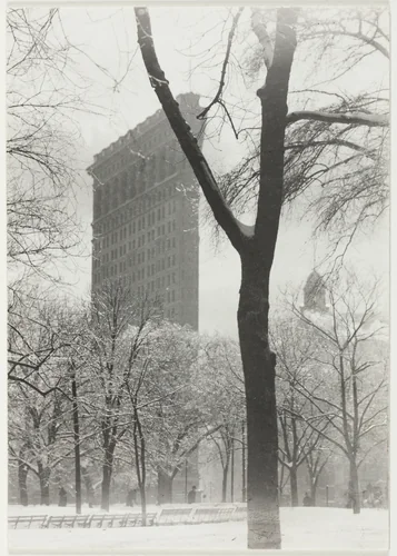 The Flatiron by Alfred Stieglitz, photograph, 1903