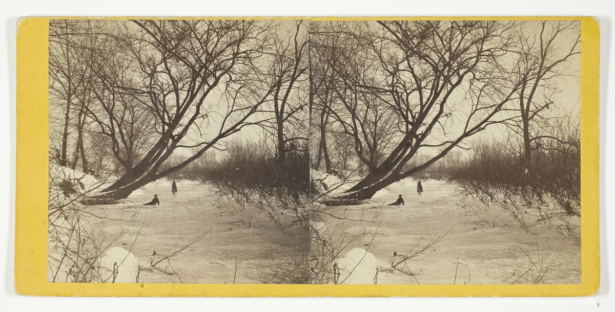 Winter Lane in the Country by Artist Unknown, photograph, 1875-1899