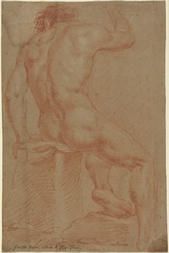 Nude Male Figure [recto] by Italian 17th Century, drawing, 1600-1699