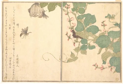 Paper Wasp (Hachi); Hairy Caterpillar (Kemushi), from the Picture Book of Crawling Creatures (Ehon mushi erami) by Kitagawa Utamaro (喜多川歌麿), print, 1788