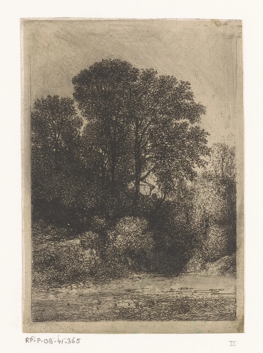 Bomen langs de oever van een beek by Jean Alexis Achard, print, 1851