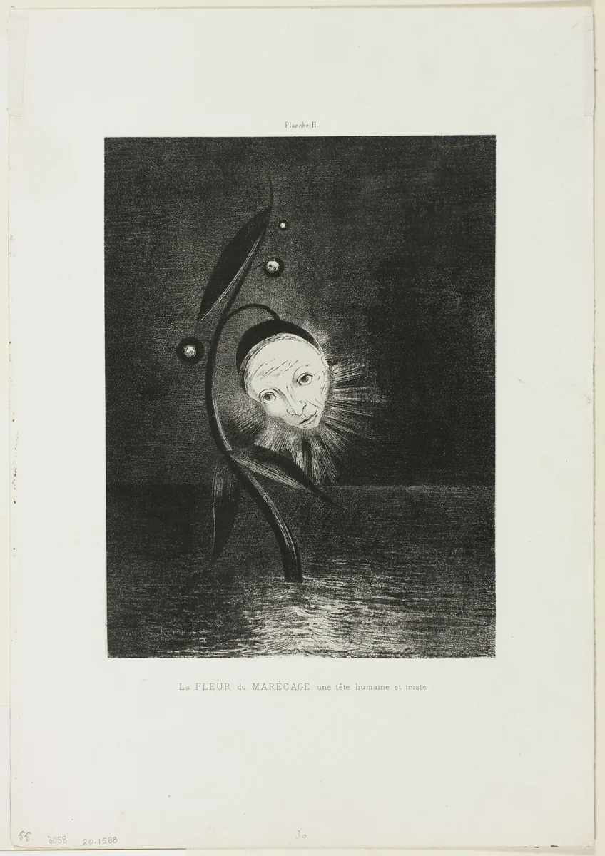 The Marsh Flower, a Sad Human Head, plate 2 of 6 by Odilon Redon, print, 1885