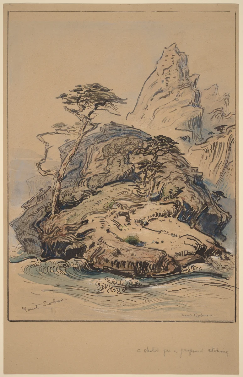 Point Lobos, California by Samuel Colman, drawing, 1886