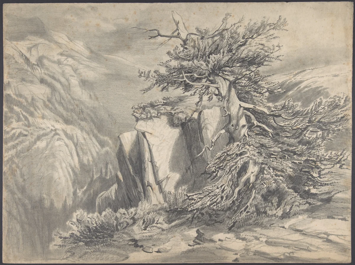 Broken Tree in Moutainous Landscape by Alexandre Calame, drawing, 1830-1864