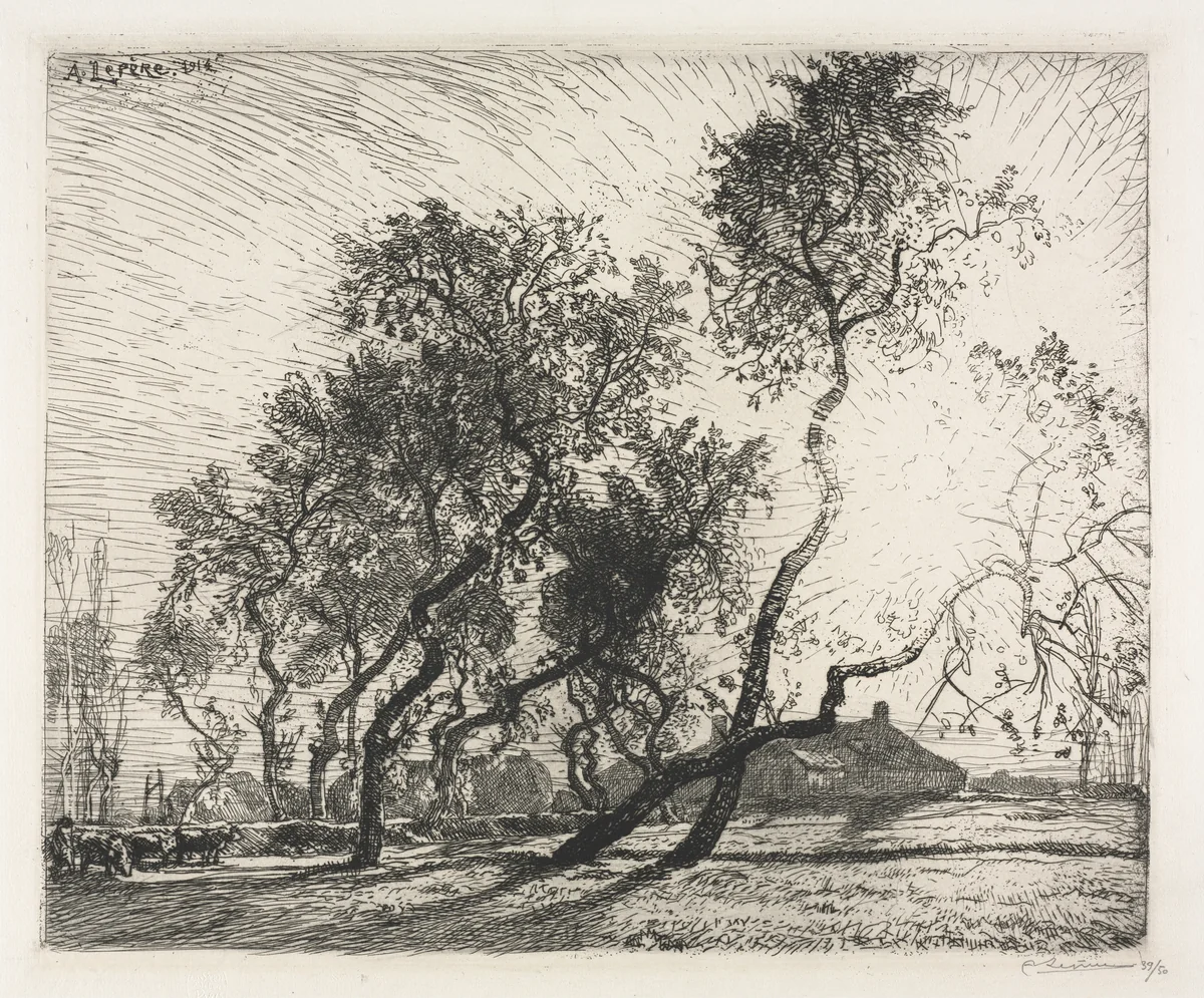 Farm with Poplar Trees of Holland by Auguste Louis Lepère, print, 1914
