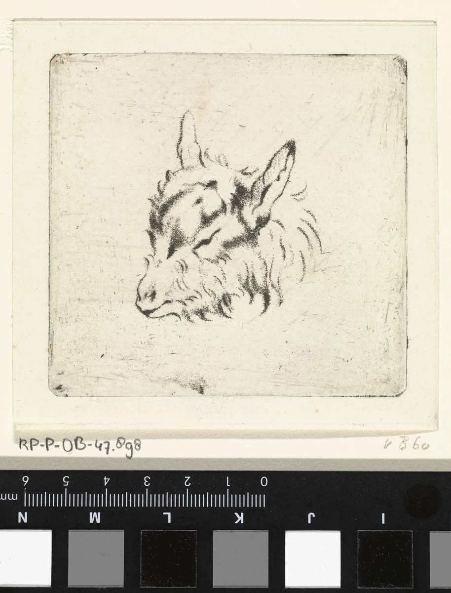 Geitenkop naar links by Pieter Janson, print, 1780-1851