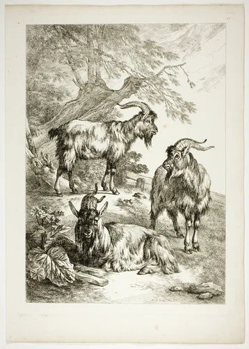 Plate Seventeen of 38 from Oeuvres de J. B. Huet by Jean Baptiste Huet, print, 1796-1799