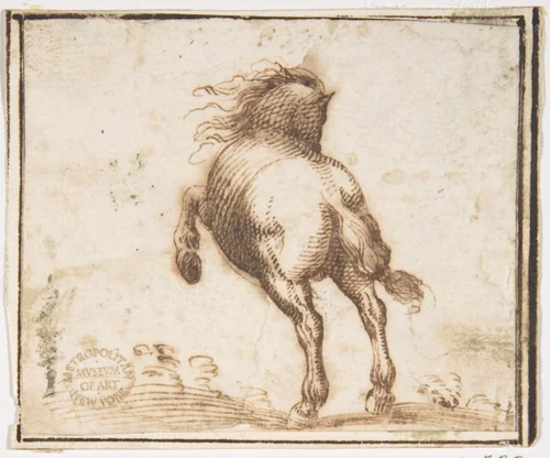 Horse by Francesco Allegrini, drawing, 1624-1663