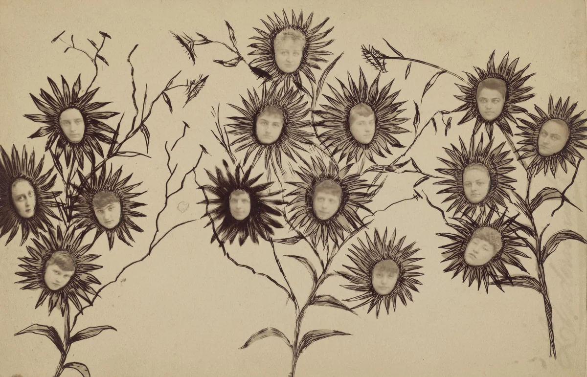 Untitled by Arlington Nelson Lindenmuth, photograph, 1880