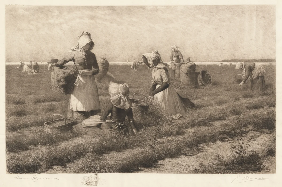 Cranberry Pickers by Gustave Mercier, print, 1890