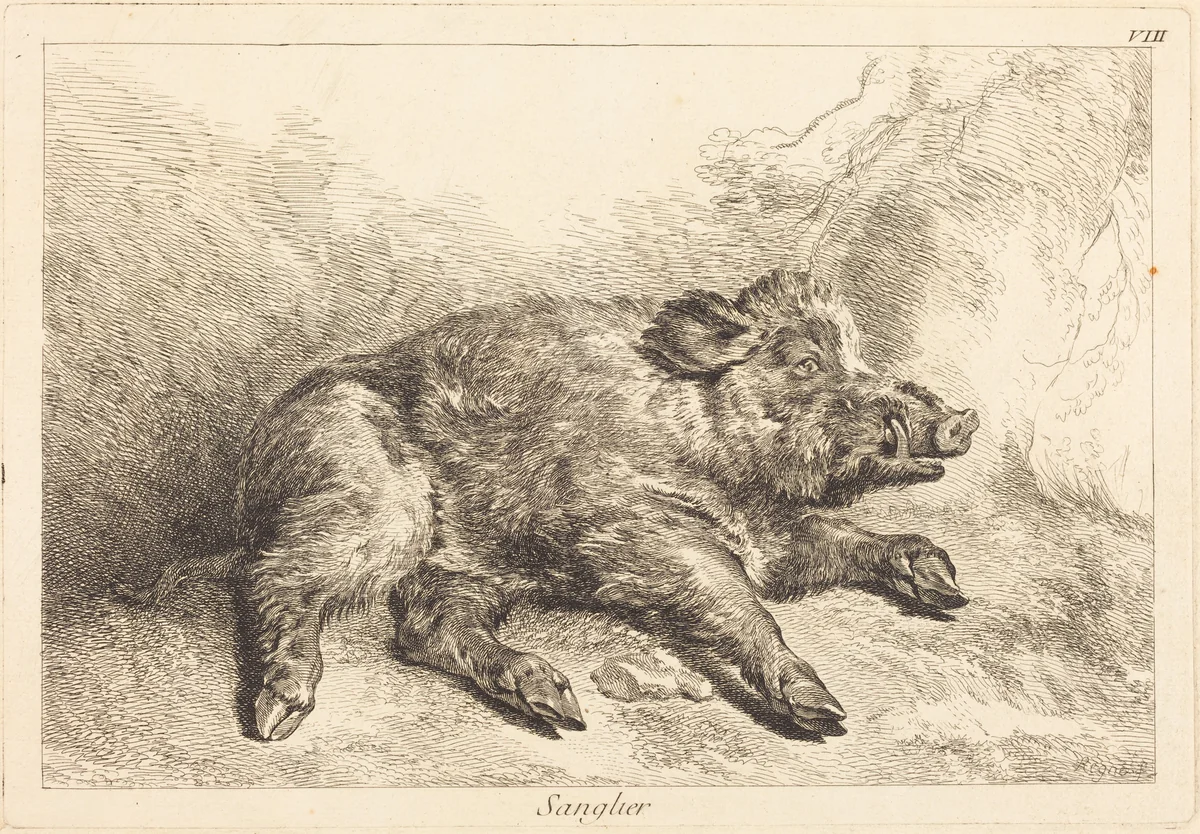Sanglier (Wild Boar Lying Down, Head to the Right) by Jacques-Philippe Le Bas
Jean Eric Rehn
Jean-Baptiste Oudry, print, 1707-1783