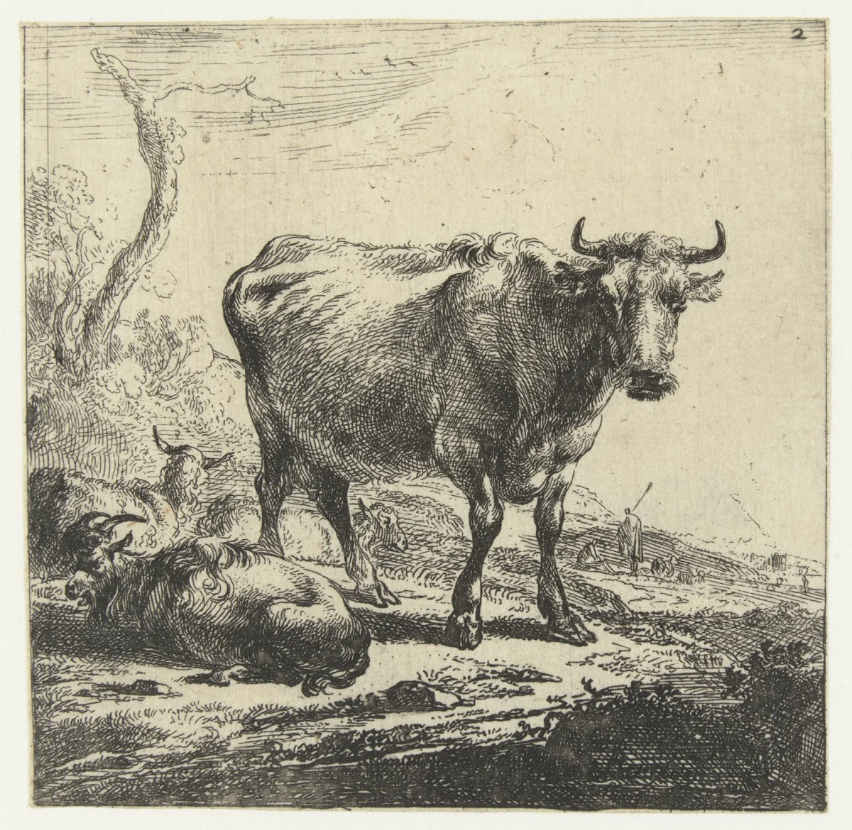 Koe by Nicolaes Pietersz Berchem, print, 1644