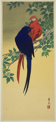 Blue and Red Macaws by Shunko, print