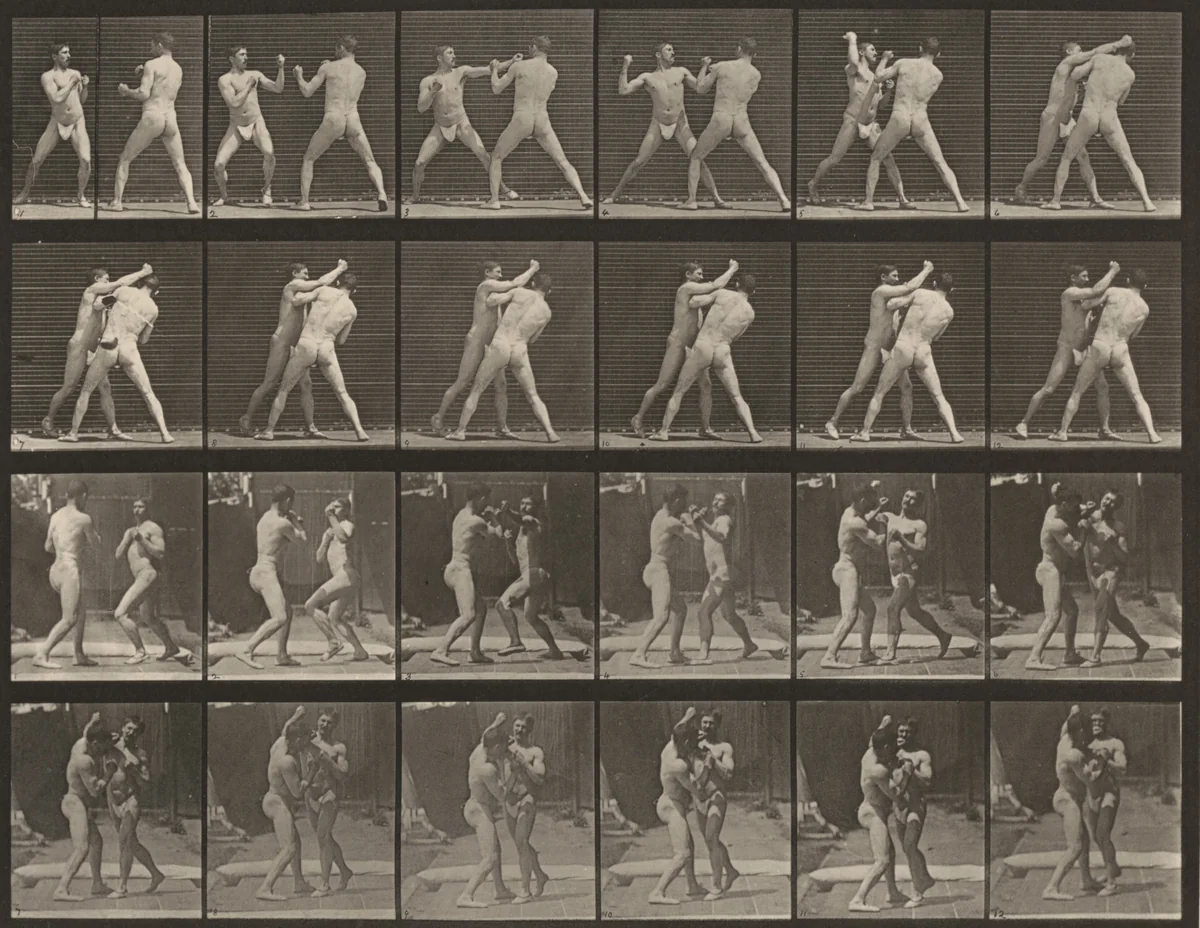 Plate Number 330. Boxing, cross-counter by Eadweard Muybridge, photograph, 1887