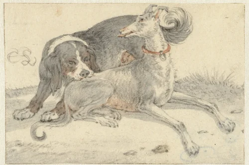 Greyhound with a Spaniel by Cornelis Saftleven, drawing, 1617-1681