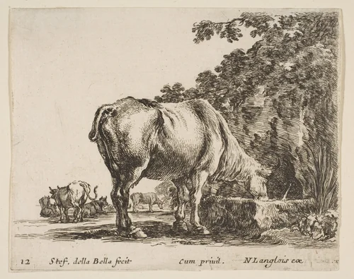 A cow drinking from a stone trough, other cows to left in background, plate 12 from "Diversi capricci" by Stefano della Bella, print, 1639-1649