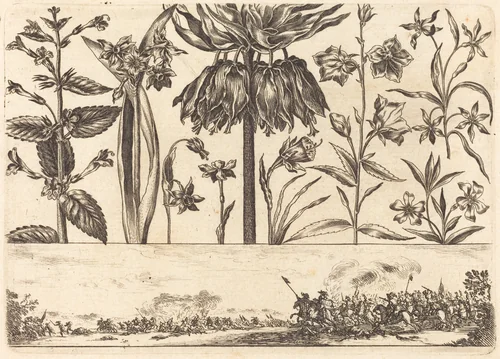 Flower Print no.10 by Nicolas Cochin, print, 1645
