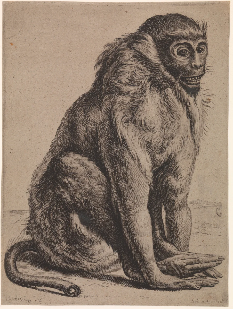 Zittende aap by anonymous, print, 1642-1735