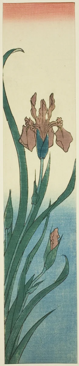 Iris by Utagawa Hiroshige (歌川広重), print, 1840-1849