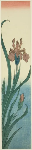 Iris by Utagawa Hiroshige (歌川広重), print, 1840-1849
