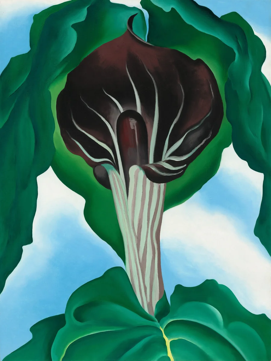 Jack-in-the-Pulpit No. 3 by Georgia O'Keeffe, painting, 1930