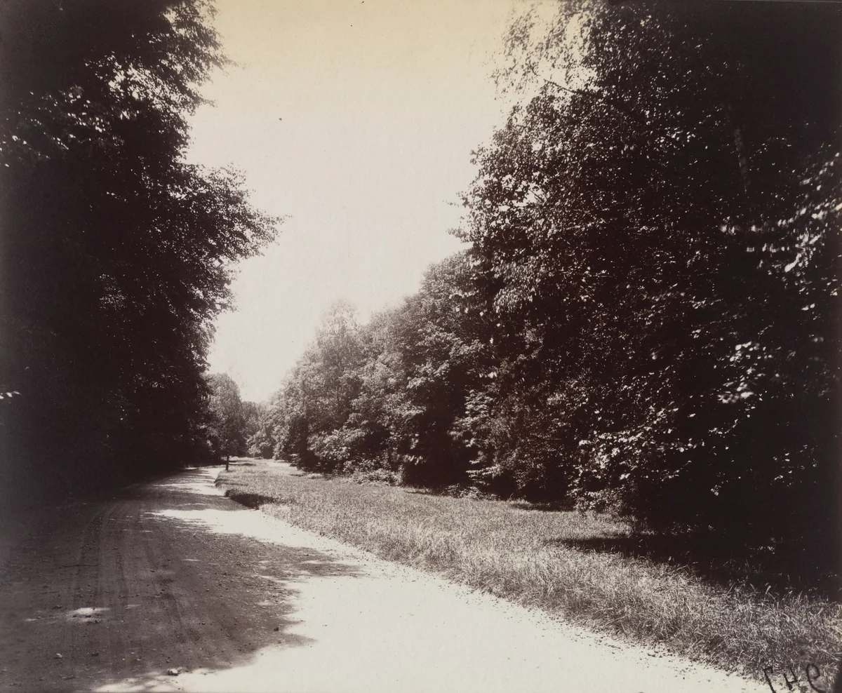 Parc de Saint-Cloud by Eugène Atget, photograph, 1919